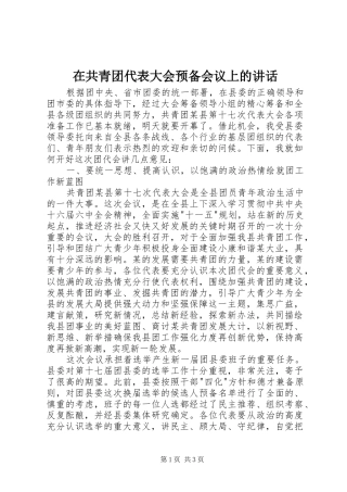 在共青团代表大会预备会议上的讲话