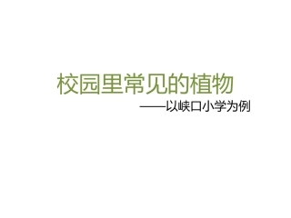 校园里常见的植物