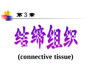 组织学结缔组织