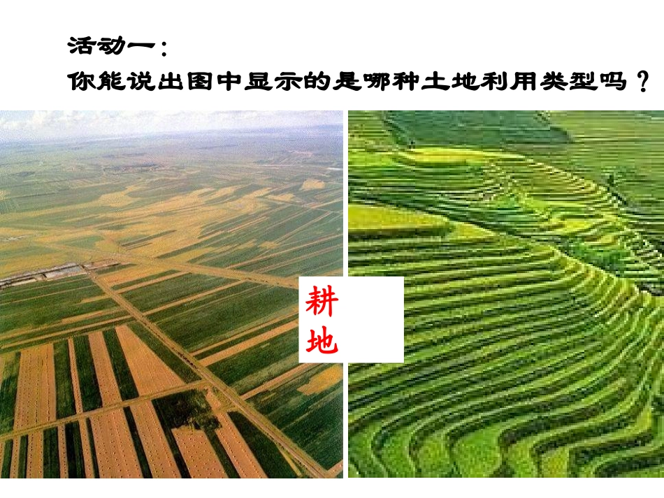 人教版八年级地理3。2土地资源_第3页