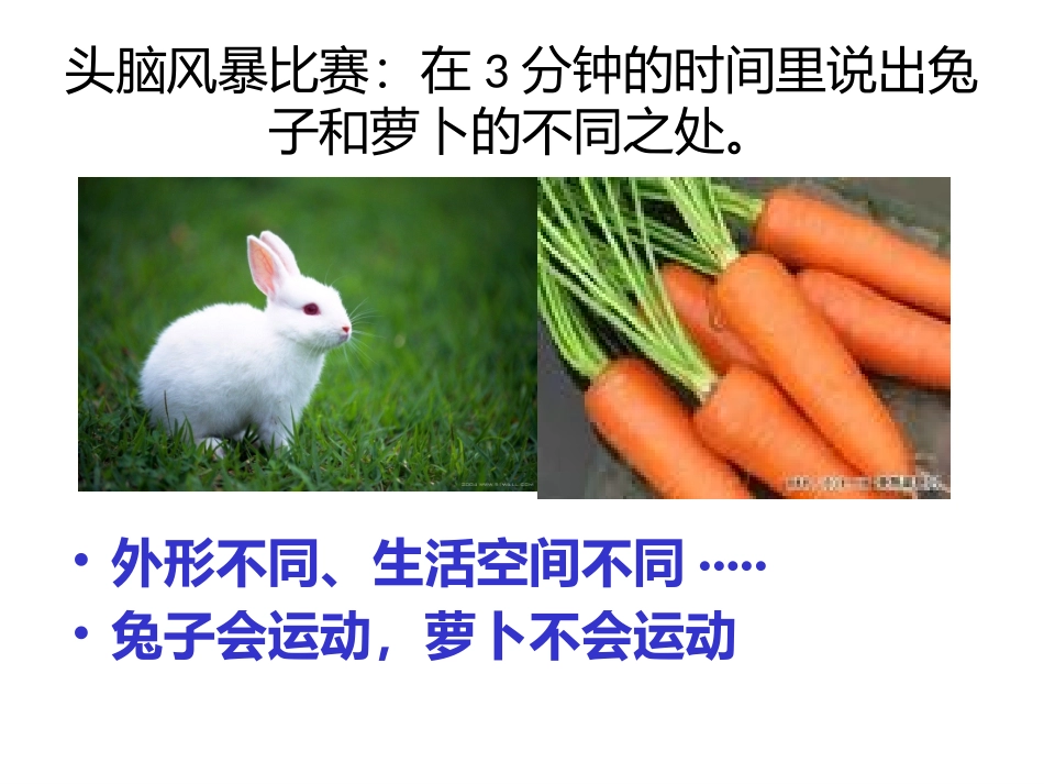 植物、动物和人_第2页