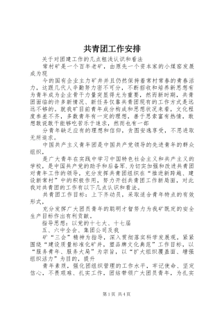 共青团工作安排