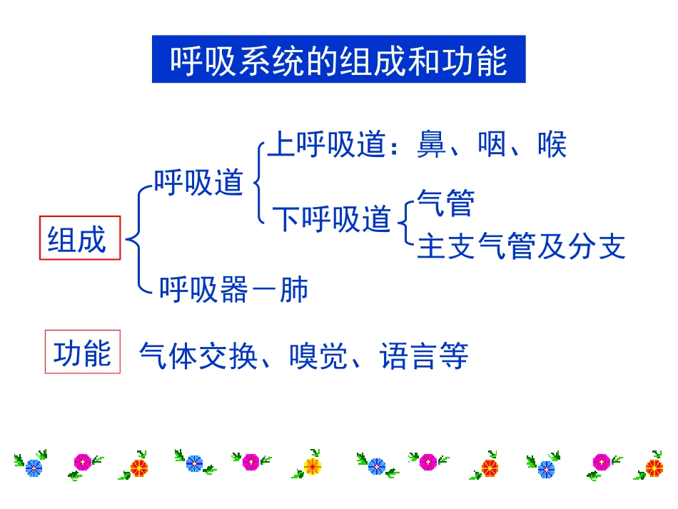 呼吸系统课件_第3页