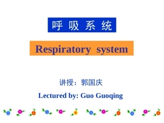 呼吸系统课件