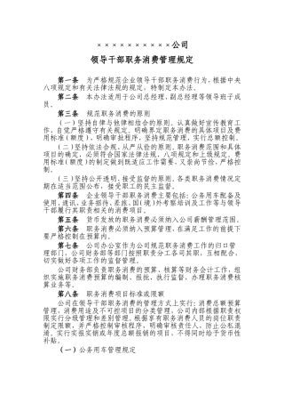 职务消费管理规定