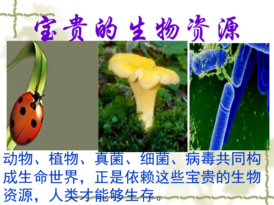 冀教版六年级科学 宝贵的生物资源_第1页