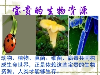 冀教版六年级科学 宝贵的生物资源