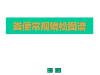粪便沉渣镜检图谱