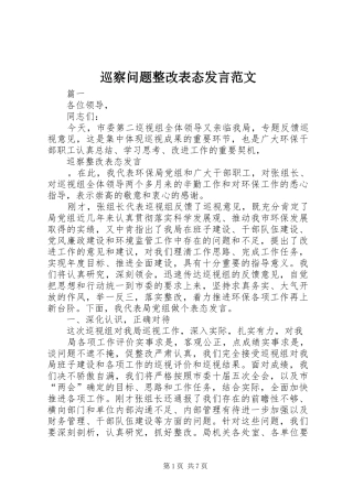 巡察问题整改表态发言范文