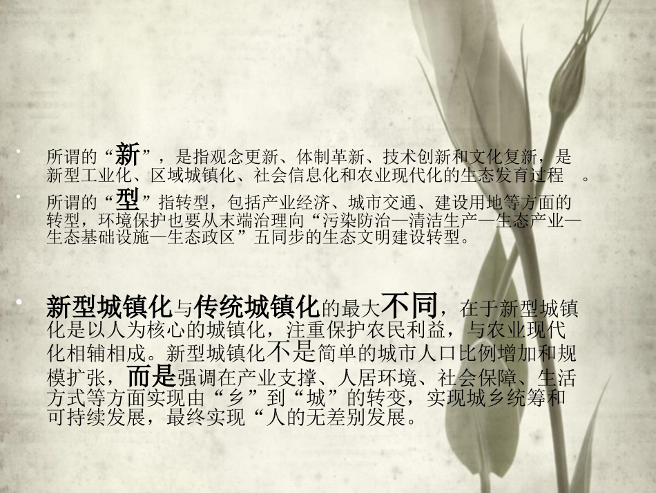 新型城镇化PPT_第3页