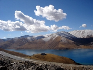 中海物业管理招投标