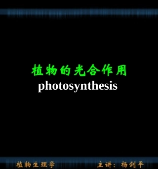 植物生理-光合作用