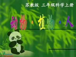 动物植物人》PPT课件