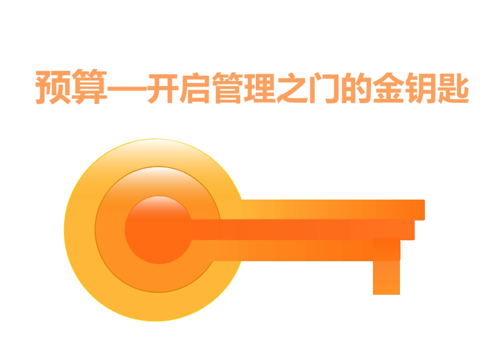 全面预算管理_第1页