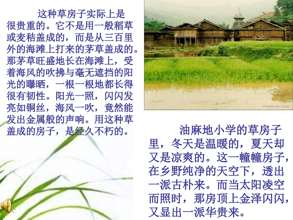 推荐课《草房子》_第3页