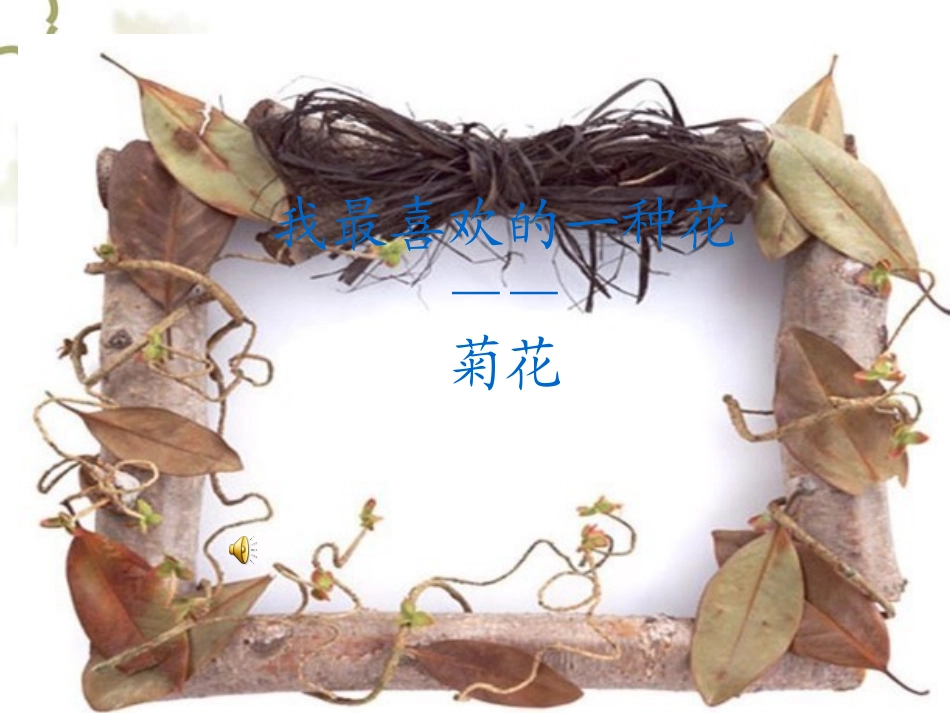 介绍植物——菊花ppt_第1页