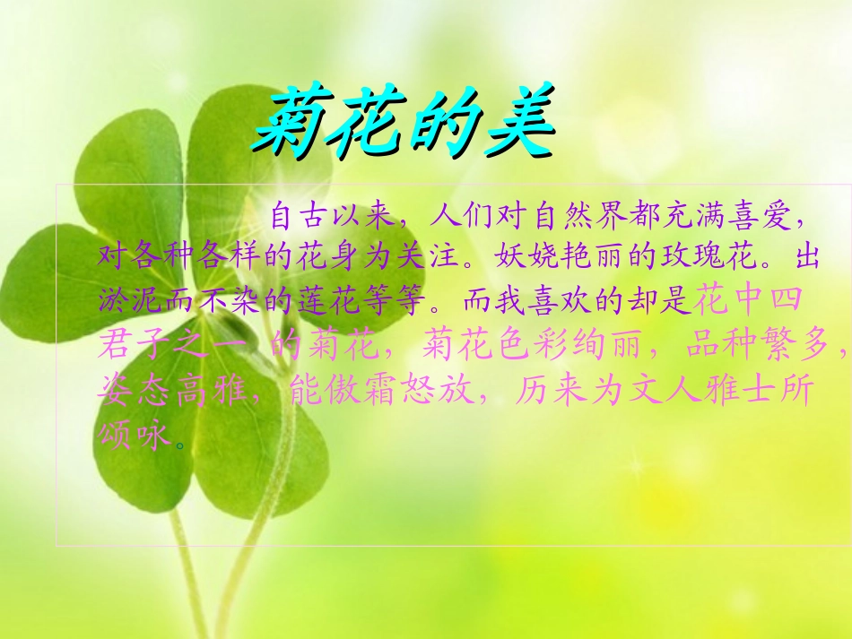 介绍植物——菊花ppt_第2页