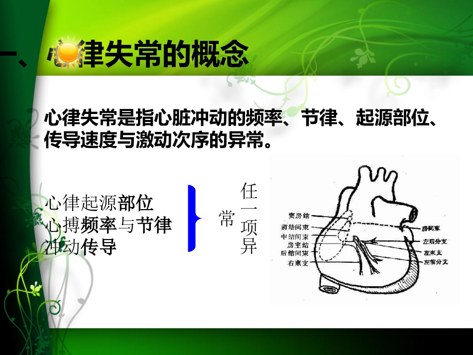 心律失常的观察与护理_第3页