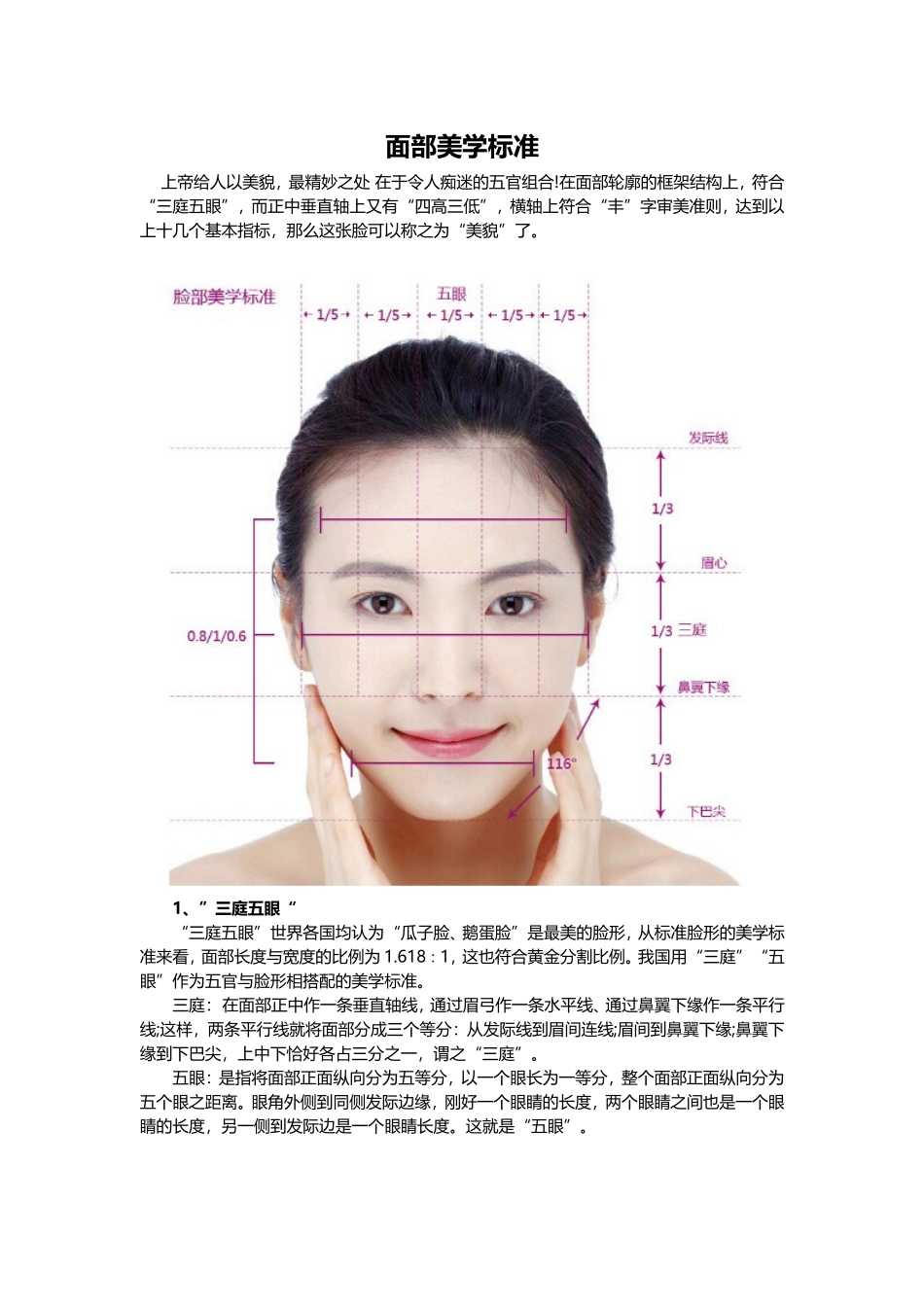 面部美学标准_第1页