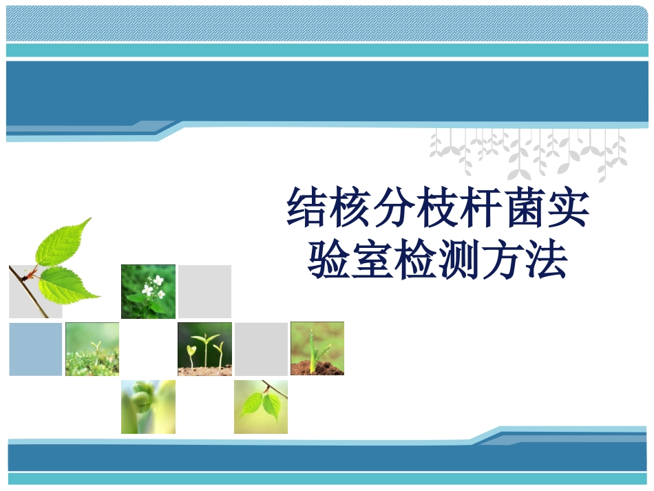 结核分枝杆菌实验室检测方法_第1页