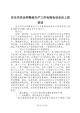 在全市农业和粮食生产工作电视电话会议上的讲话