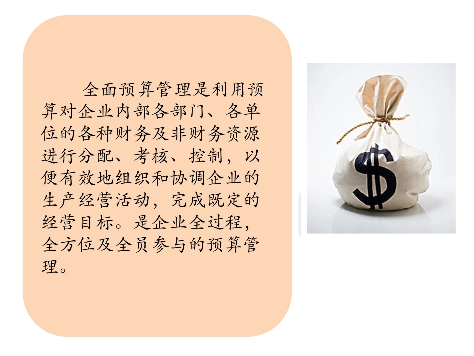 全面预算管理PPT_第3页