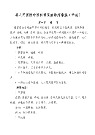中医科常见病诊疗常规