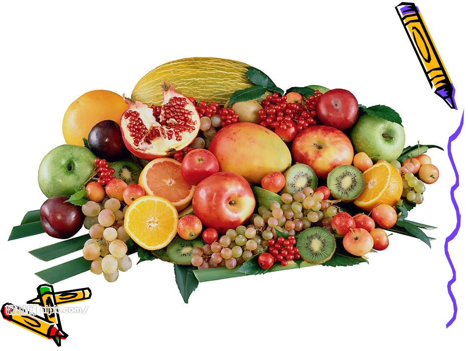 蔬果的剖面ppt_第3页