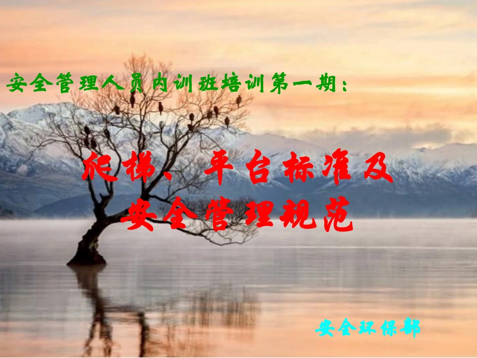 爬梯平台标准及安全管理规范_第1页