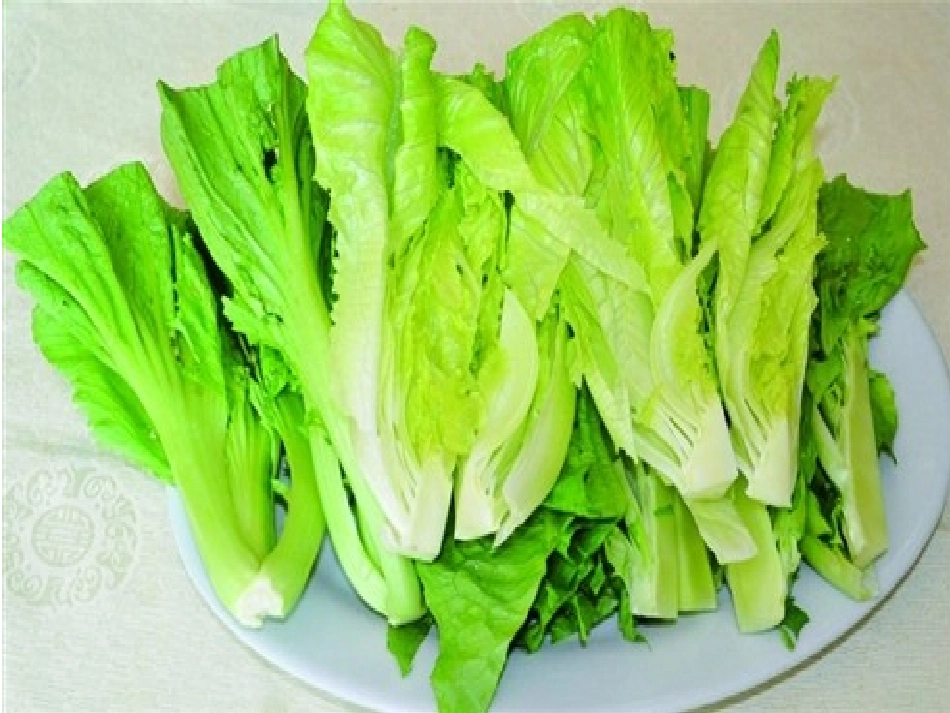 科学饮食身体棒ppt_第3页