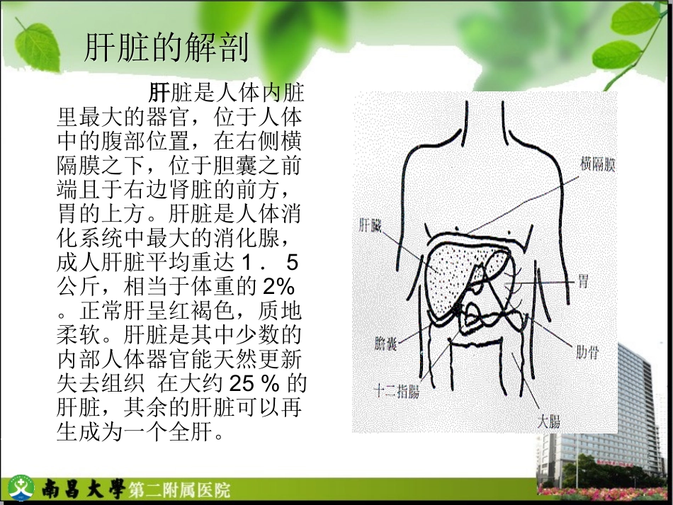 肝癌的护理查房_第2页