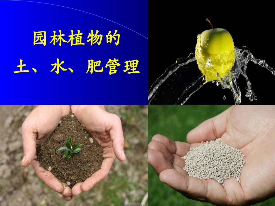 园林植物栽培与养护—11园林植物的土、水、肥管理.ppt_第1页
