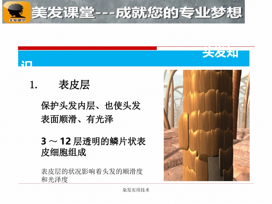 最全发型师必学染发课件_第3页