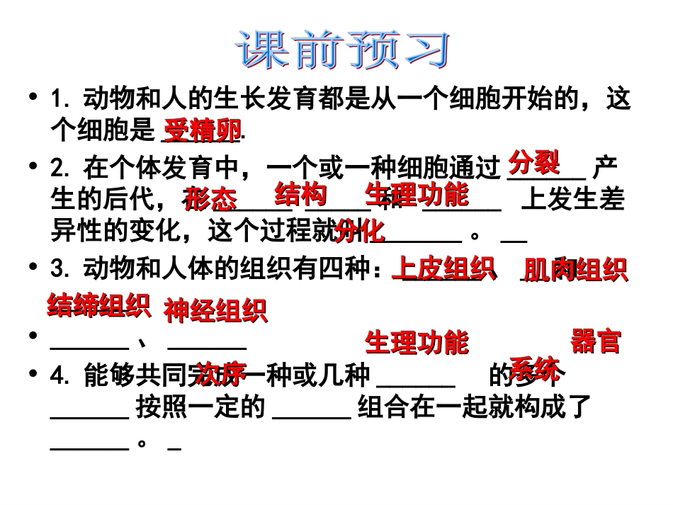 动物体的结构层次PPT_第3页