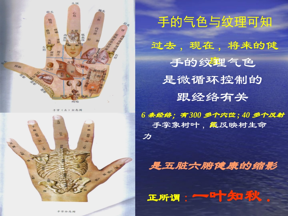 手诊速成 2_第2页