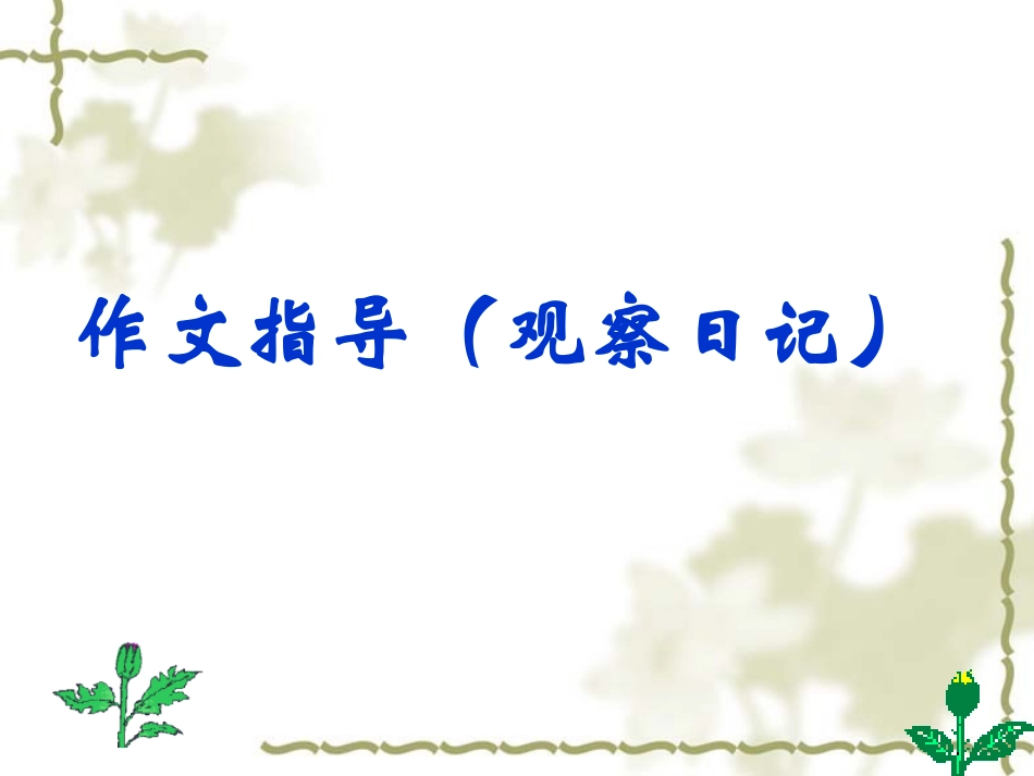 观察日记--泡豆豆_第2页