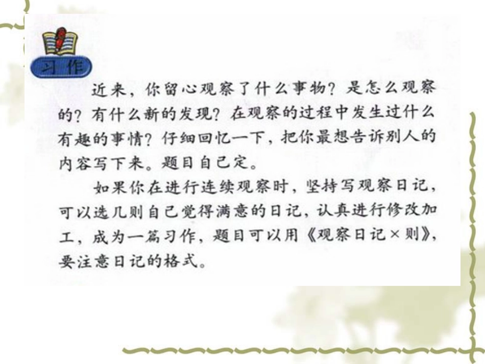 观察日记--泡豆豆_第3页