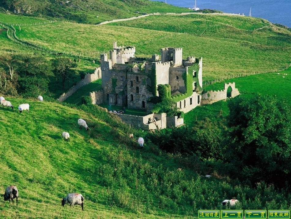 新苏教版四年级上册观察物体(三)_第3页