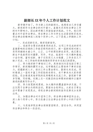 副部长XX年个人工作计划范文