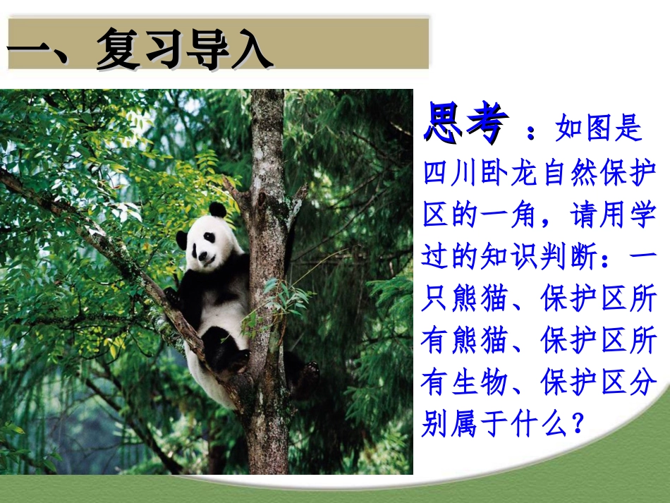 生态系统的结构——上课版_第1页