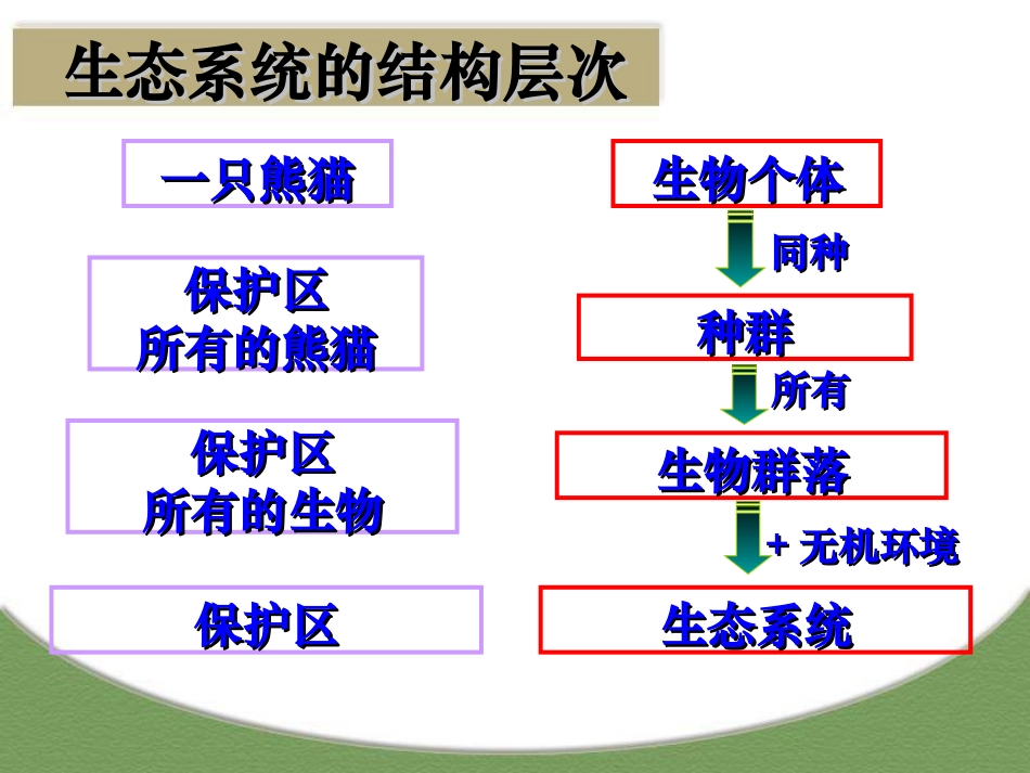 生态系统的结构——上课版_第2页