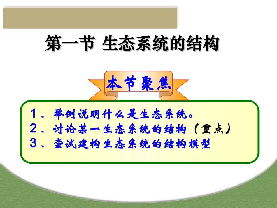 生态系统的结构——上课版_第3页
