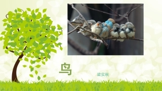 鸟 梁实秋 优秀课件