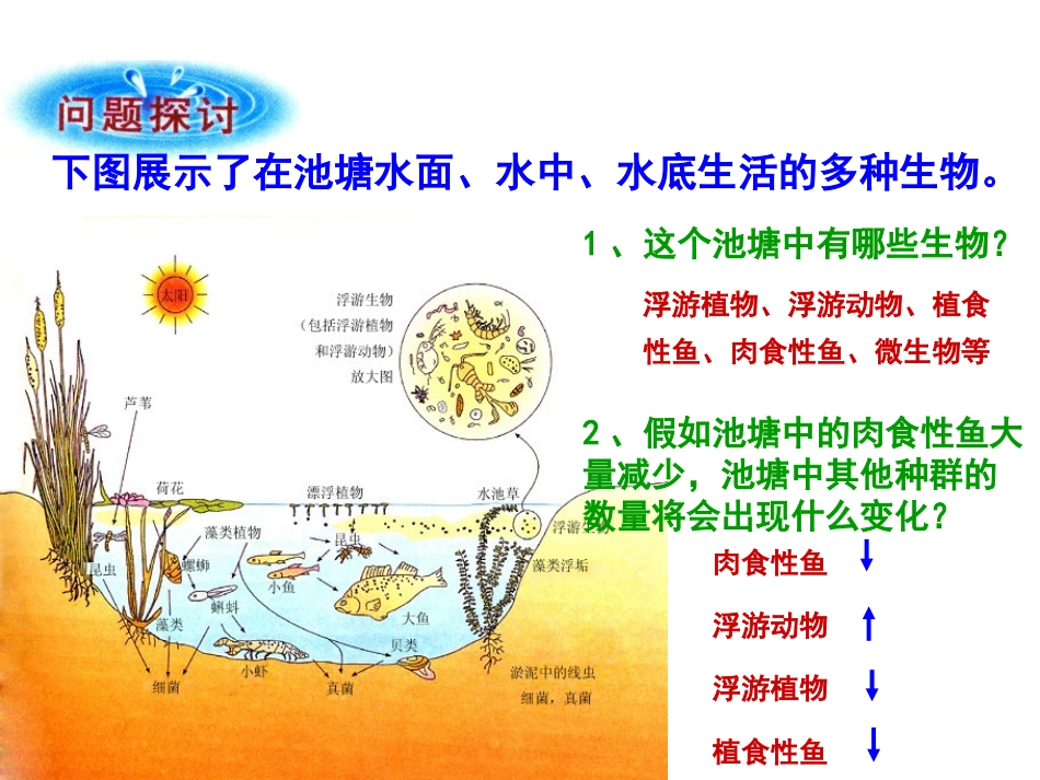 群落的结构课件_第3页