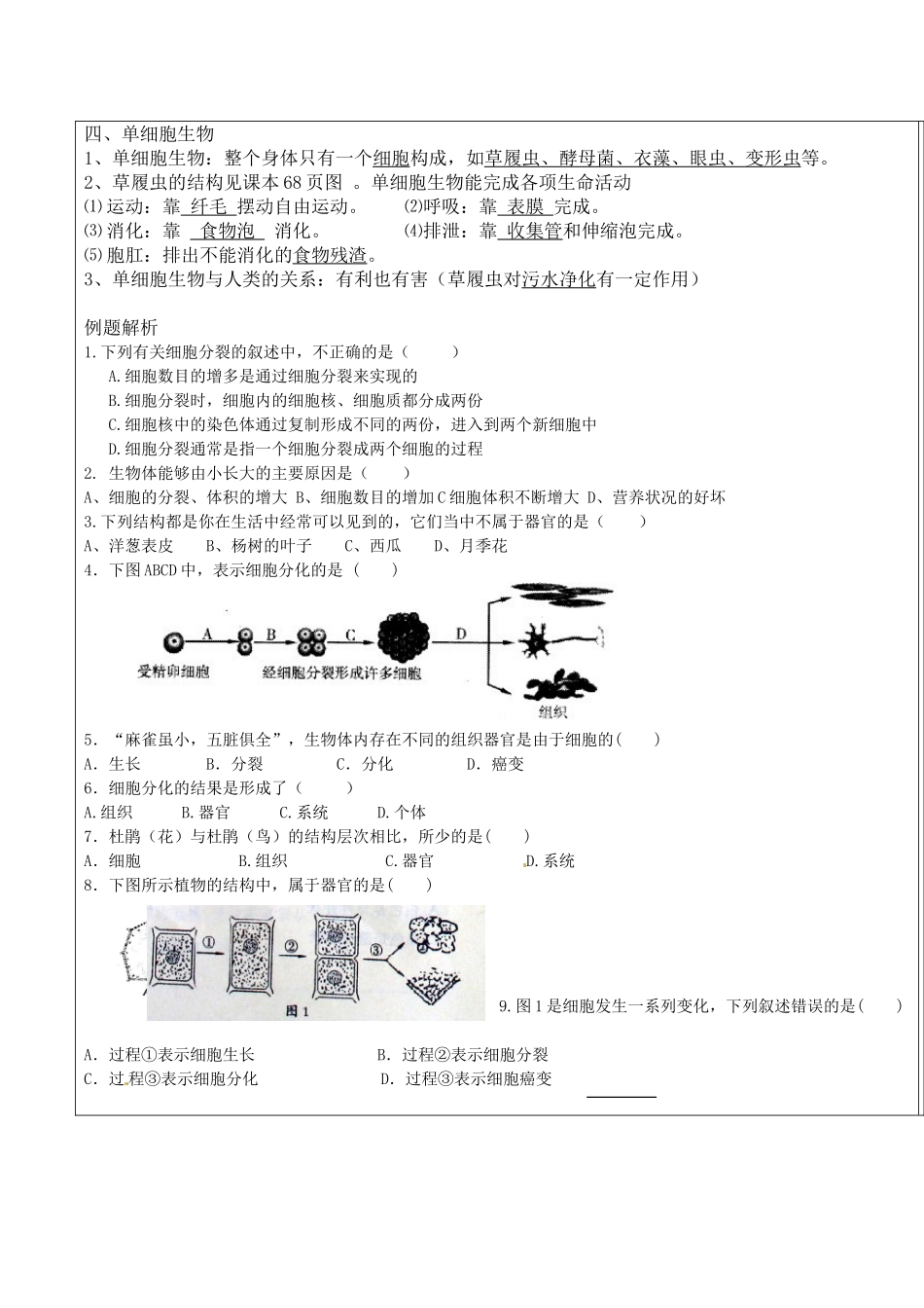 细胞怎样构成生物体教案_第3页