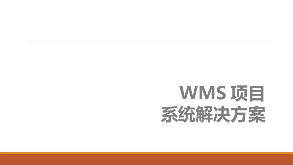 非常专业完整的WMS解决方案(智能仓储基础架构)_第1页