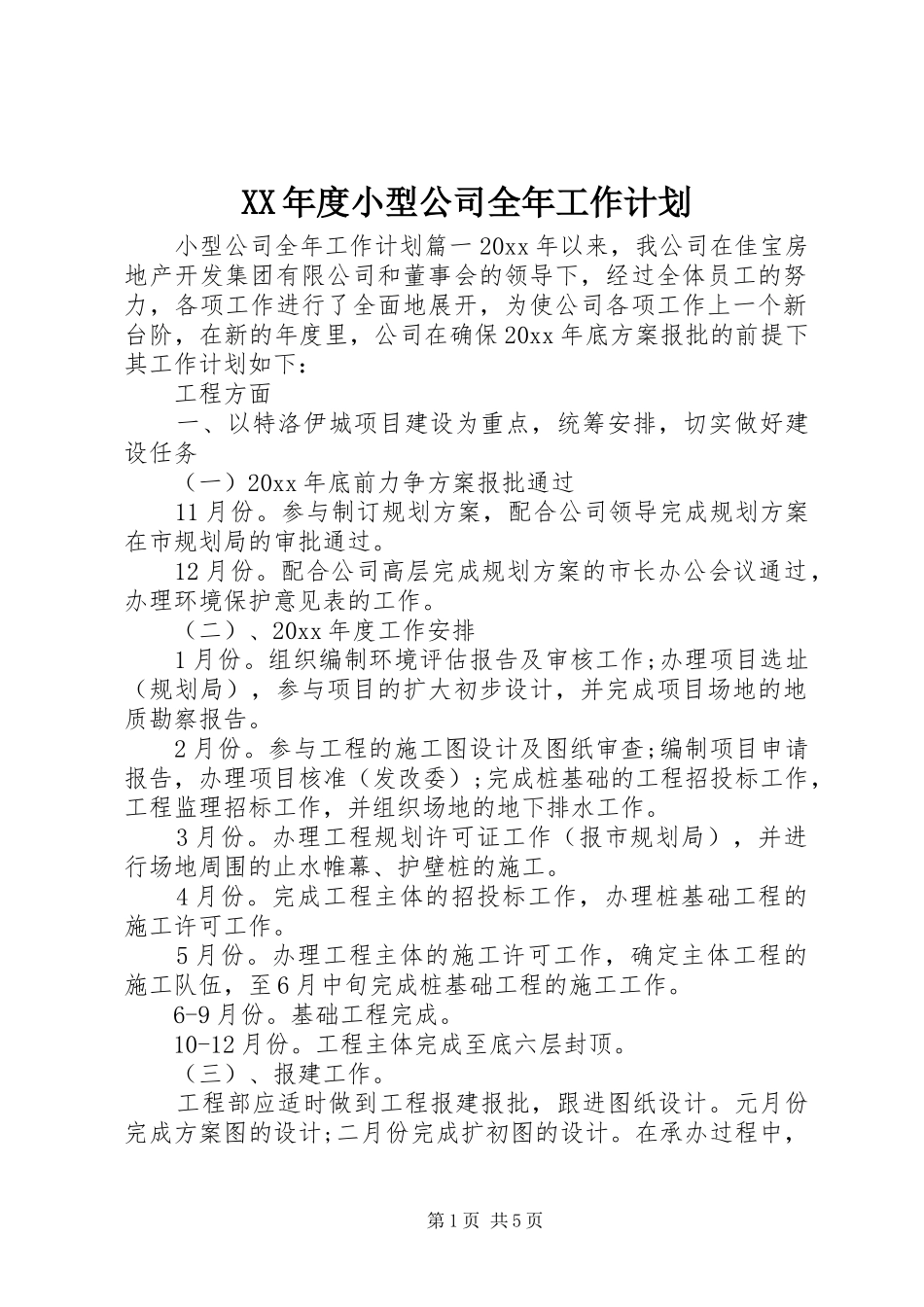 XX年度小型公司全年工作计划_第1页
