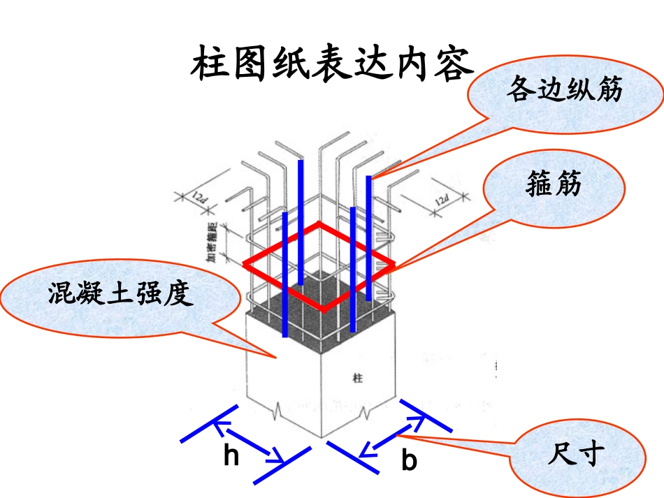 柱配筋图表示_第1页