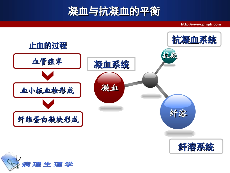 凝血和抗凝血平衡紊乱的病理生理机制_第2页