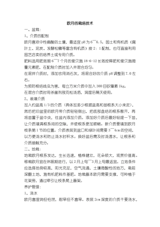 欧月的栽培技术